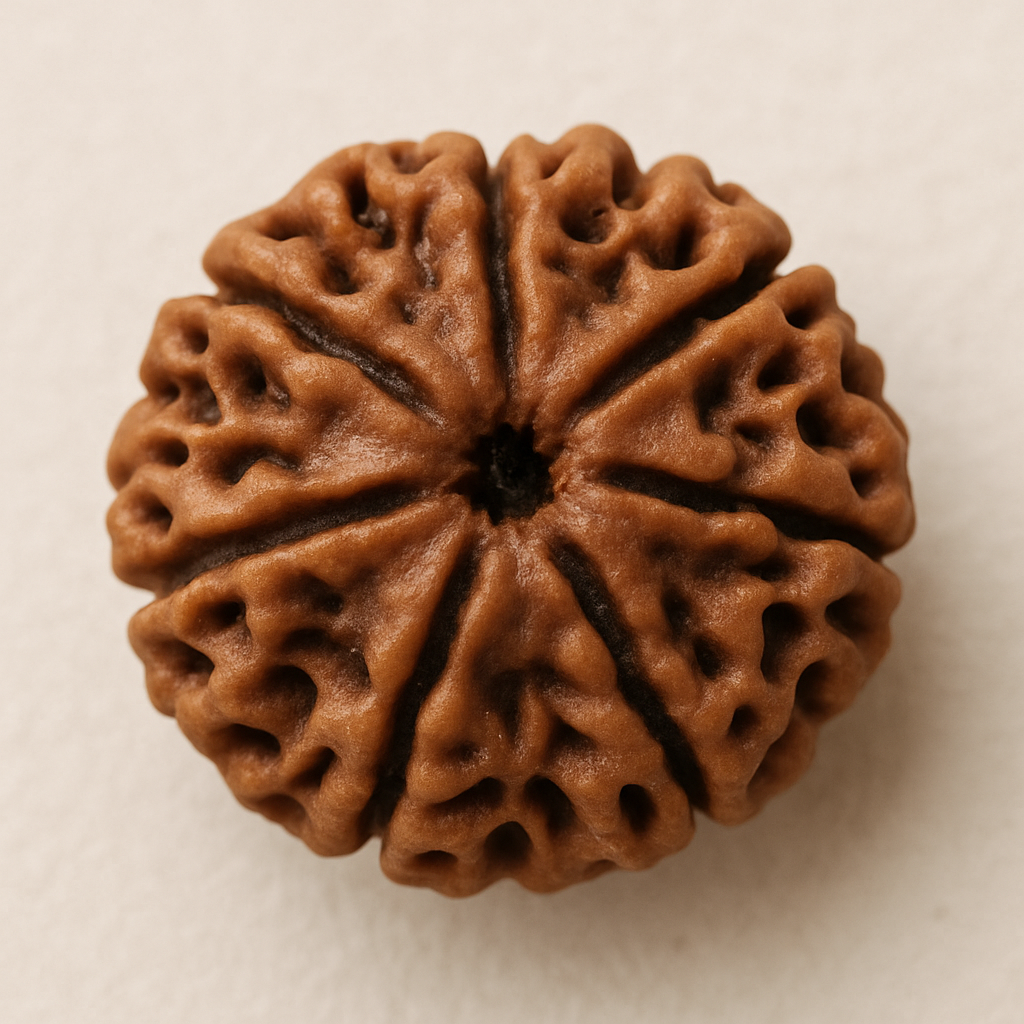5 Mukhi Rudraksha