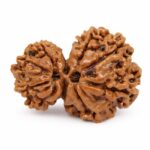 GARV GAURI  Nepali Original  Rudraksha