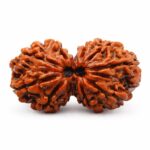 GAURI SHANKAR  Nepali Original  Rudraksha