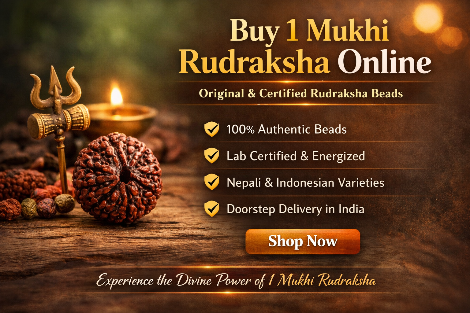 Buy 1 mukhi rudrasha online