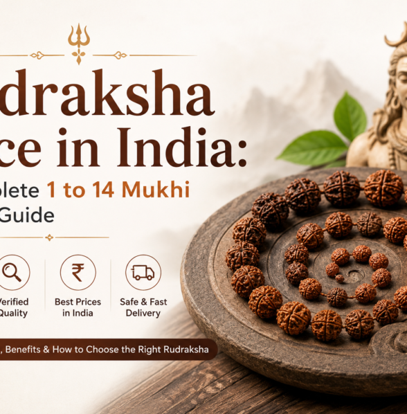 Rudraksha Price in India: A Complete 1 to 14 Mukhi Buying Guide