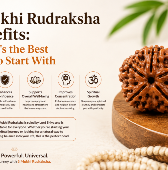 5 Mukhi Rudraksha Benefits: Why It's the Best Bead to Start With
