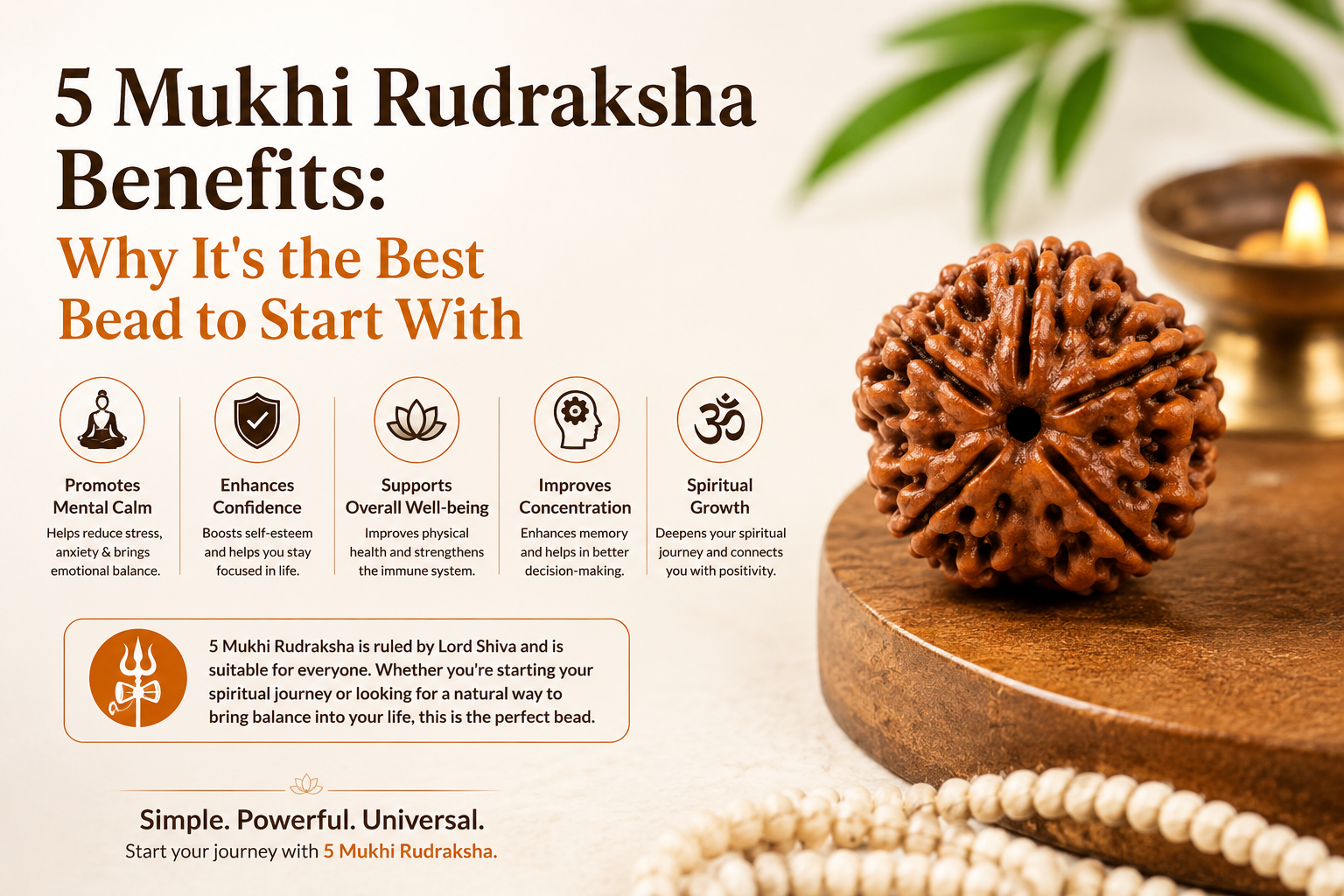 5 Mukhi Rudraksha Benefits: Why It's the Best Bead to Start With