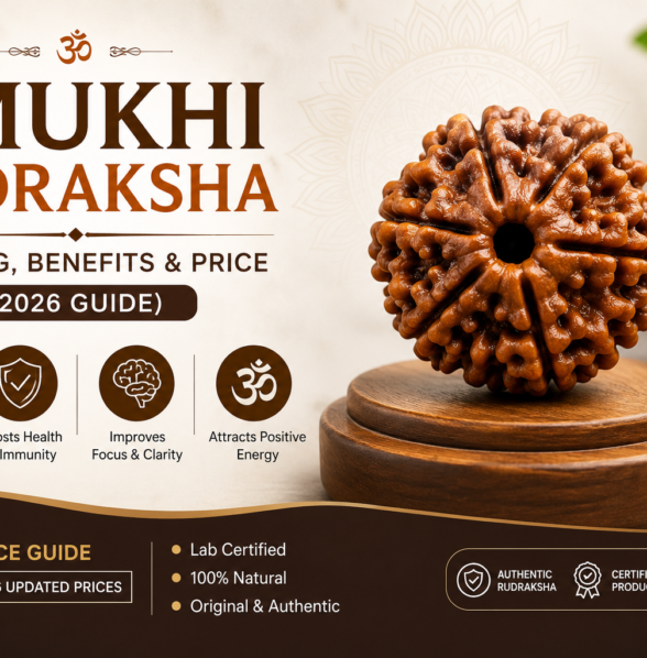 5 mukhi rudraksha